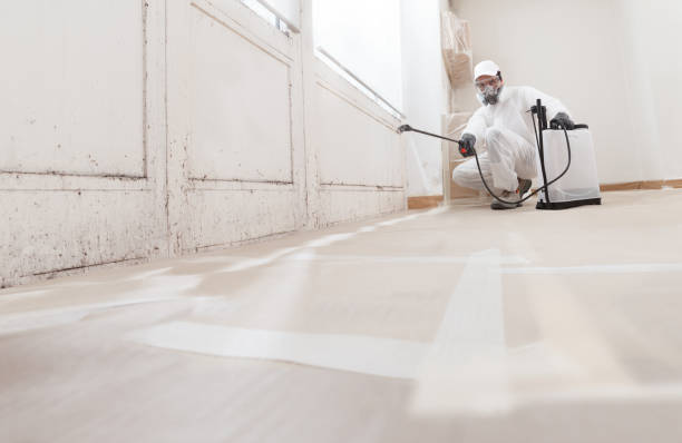 24/7 Emergency Mold Remediation experts in Grantsville, MD