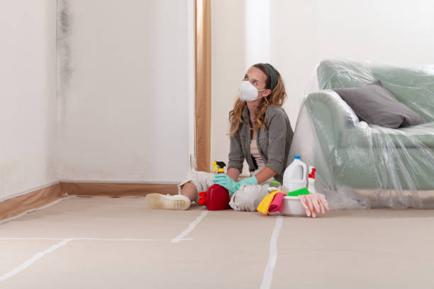 Reliable Mold Remediation contractor in Grantsville, MD by 24 Hour Mold Removal
